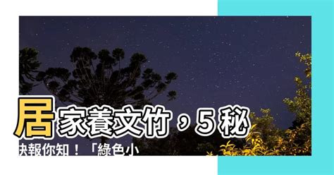 文竹照顧|【文竹照顧】居家養文竹，5 秘訣報你知！「綠色小森林」隨手打。